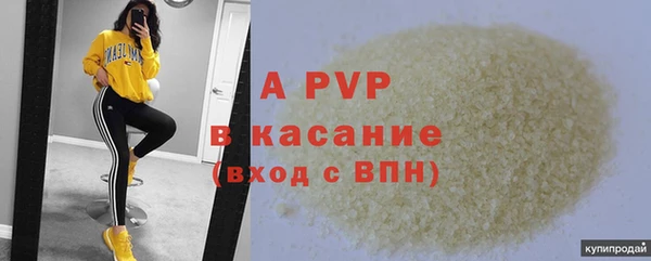СК Аркадак